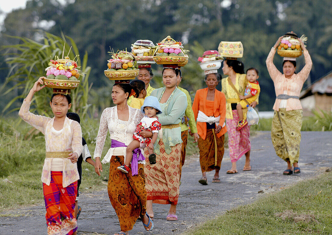balinese women carrying offerings to a ceremony