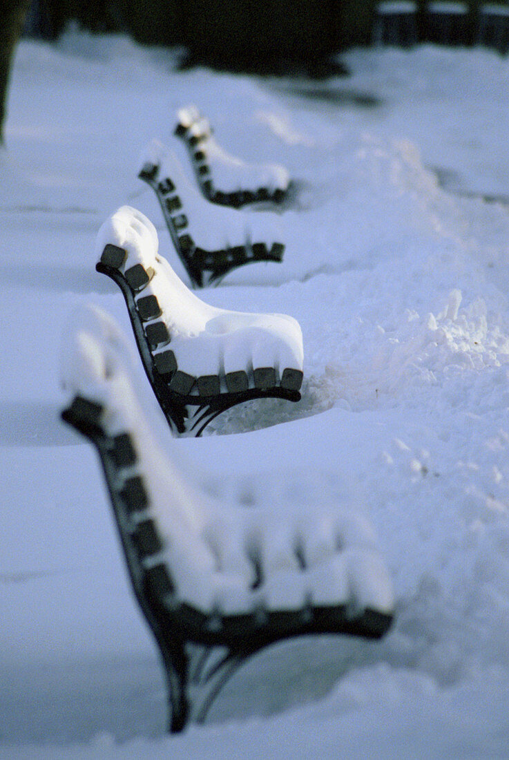 Benches in the Boston Public Garden after a major snowstorm. USA.