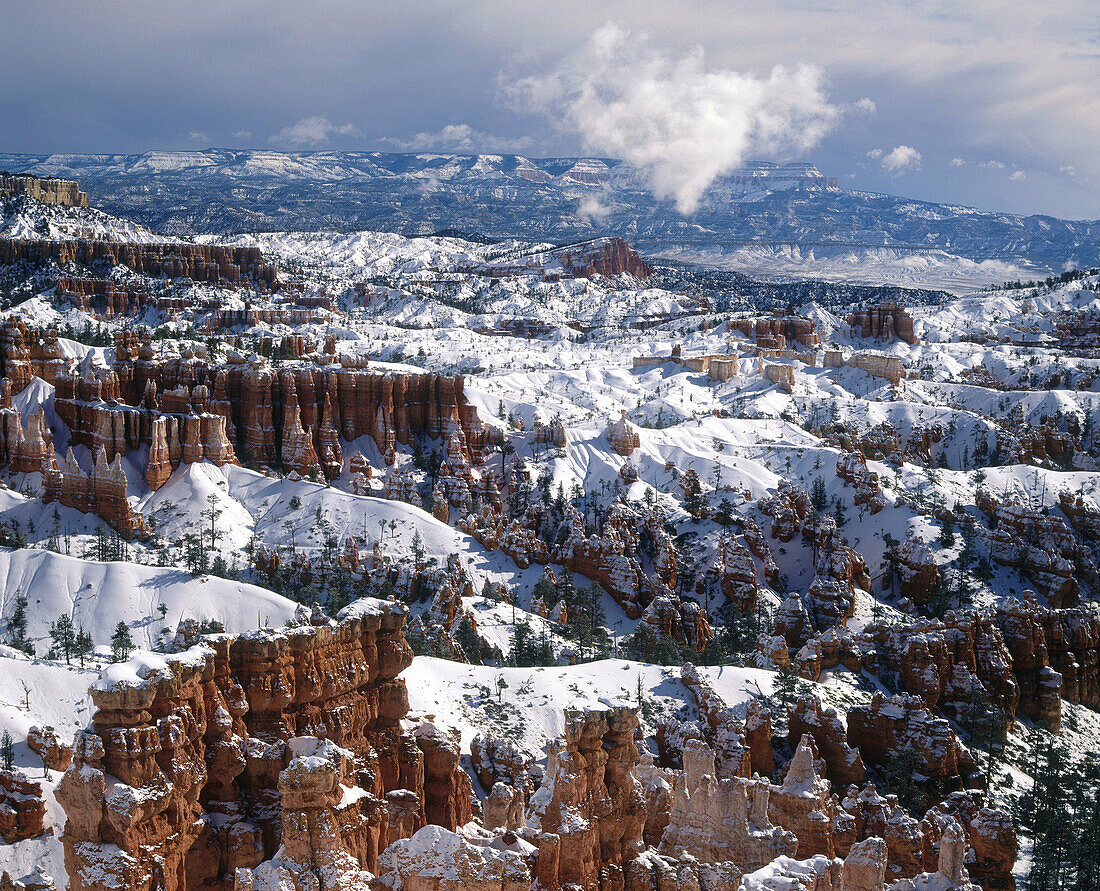 Bryce Canyon National Park. Utah. USA