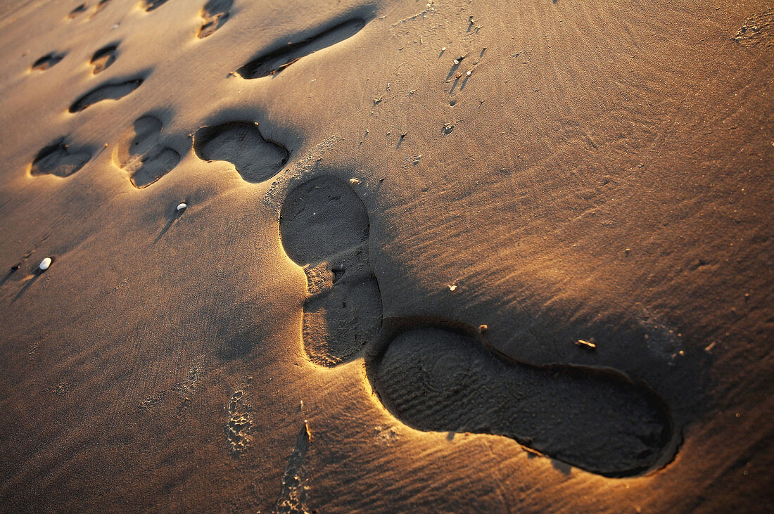 Footsteps on the sand on the beach at sunset.