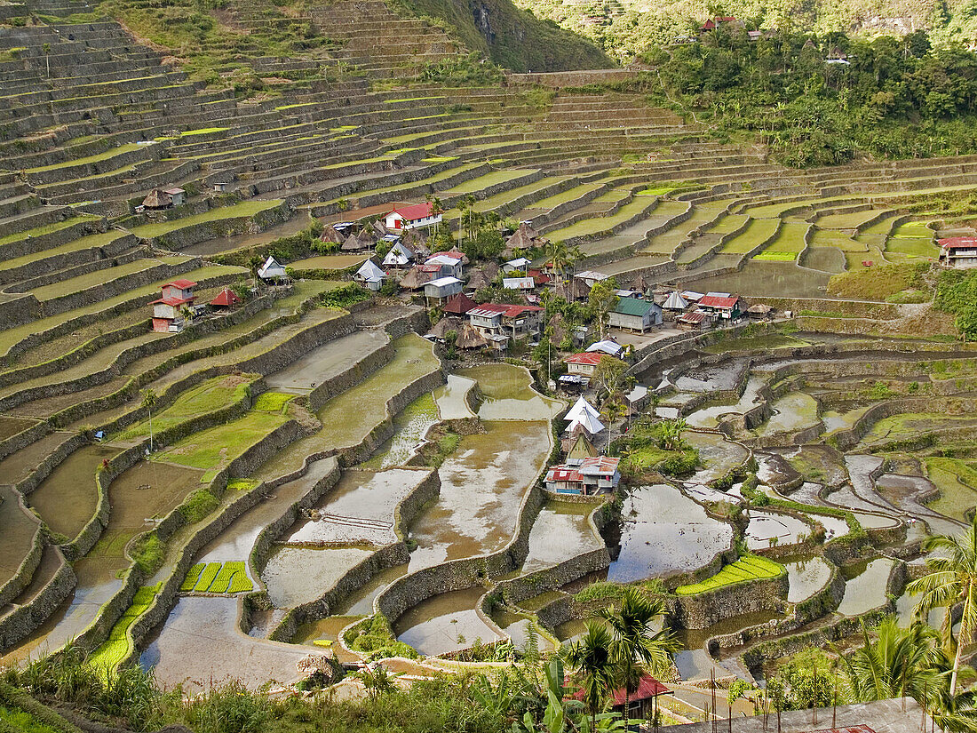 View of Batad and its amazing rice terraces, Philippines, a UNESCO World Heritage Site