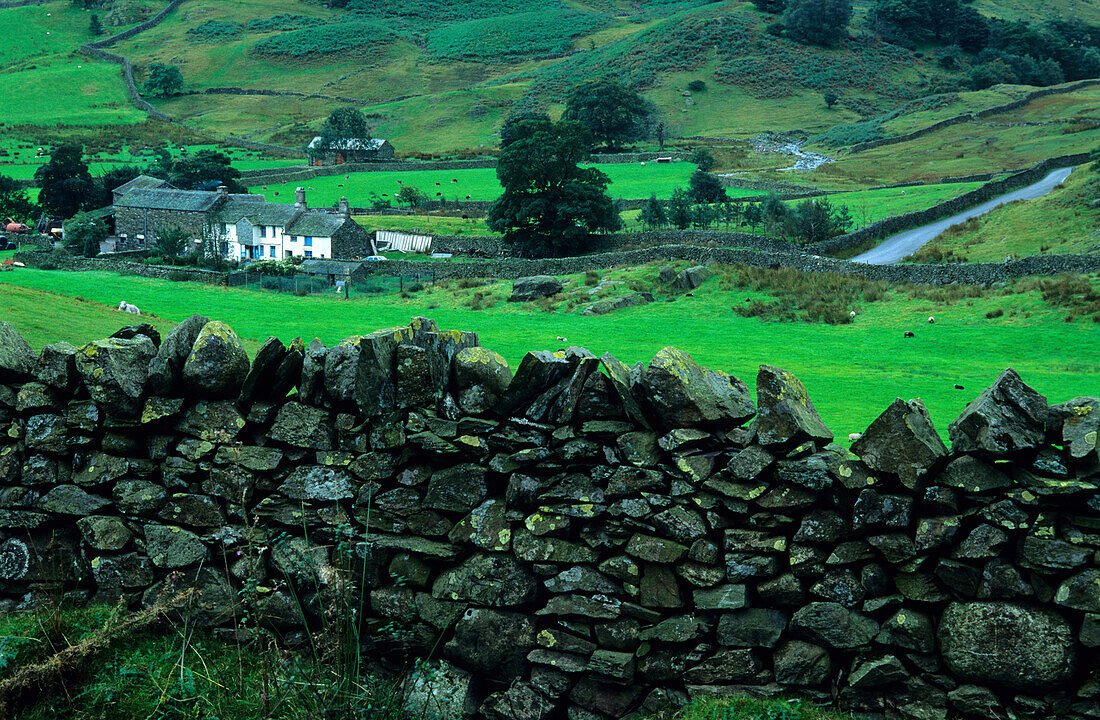 Europa, Grossbritannien, England, Cumbria, Newlands Valley