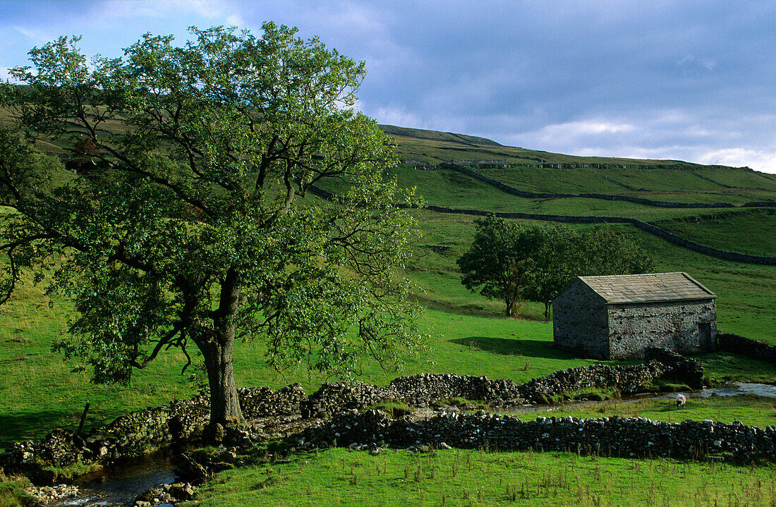 Europa, Grossbritannien, England, North Yorkshire, Yorkshire Dales