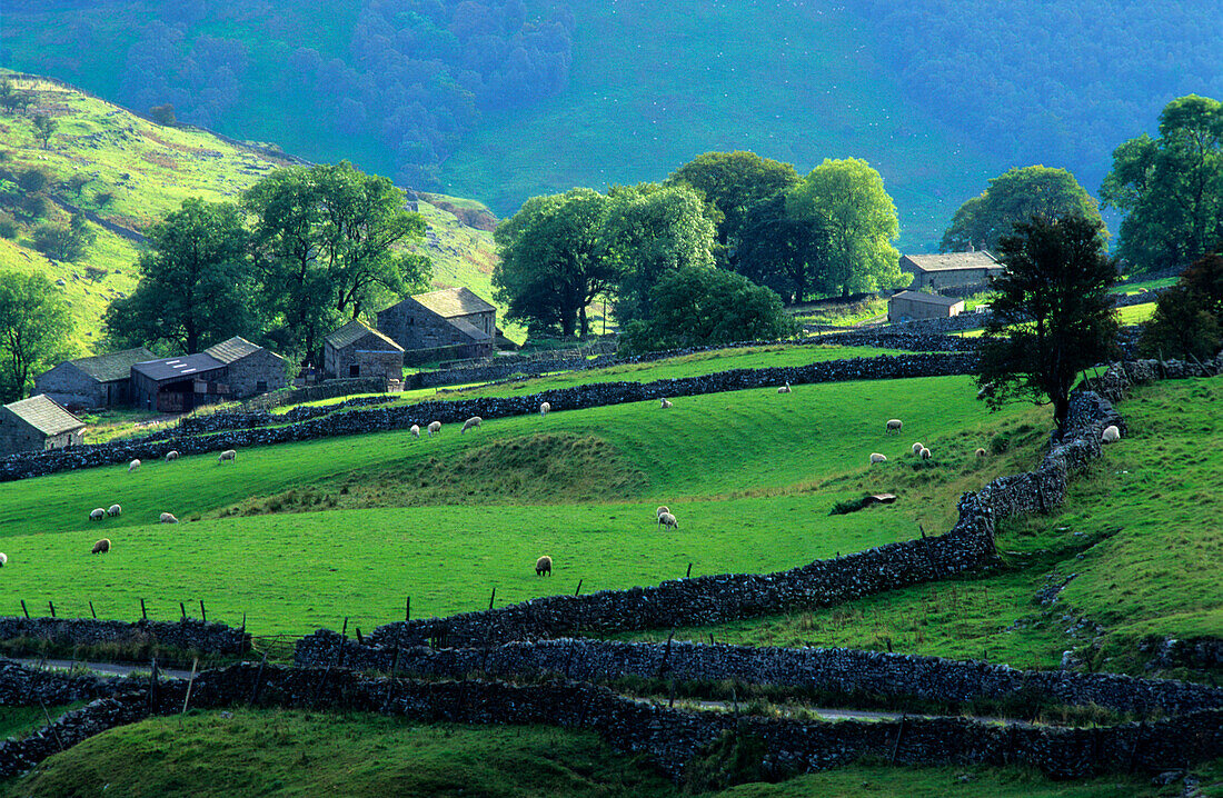 Europe, Great Britain, England, North Yorkshire, Yorkshire Dales