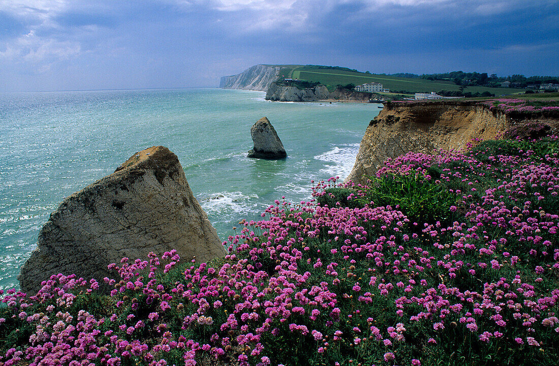 Europa, Grossbritannien, England, Isle of Wight, Freshwater Bay