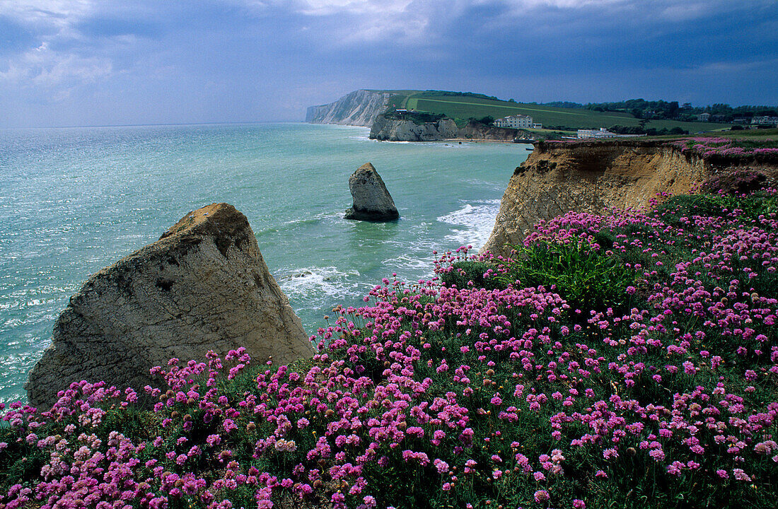 Europe, Great Britain, England, Isle of Wight, Freshwater Bay