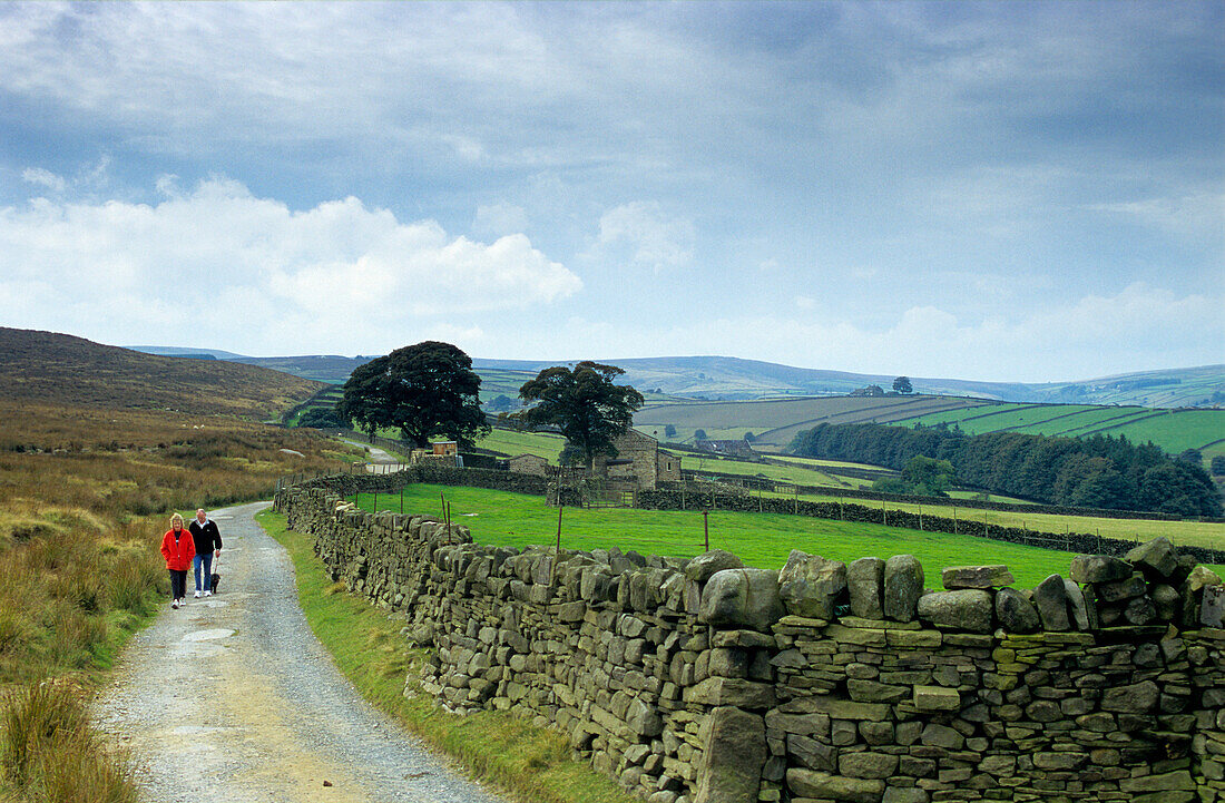 Europa, England, Yorkshire, West Yorkshire, Haworth Moor, Bronte County