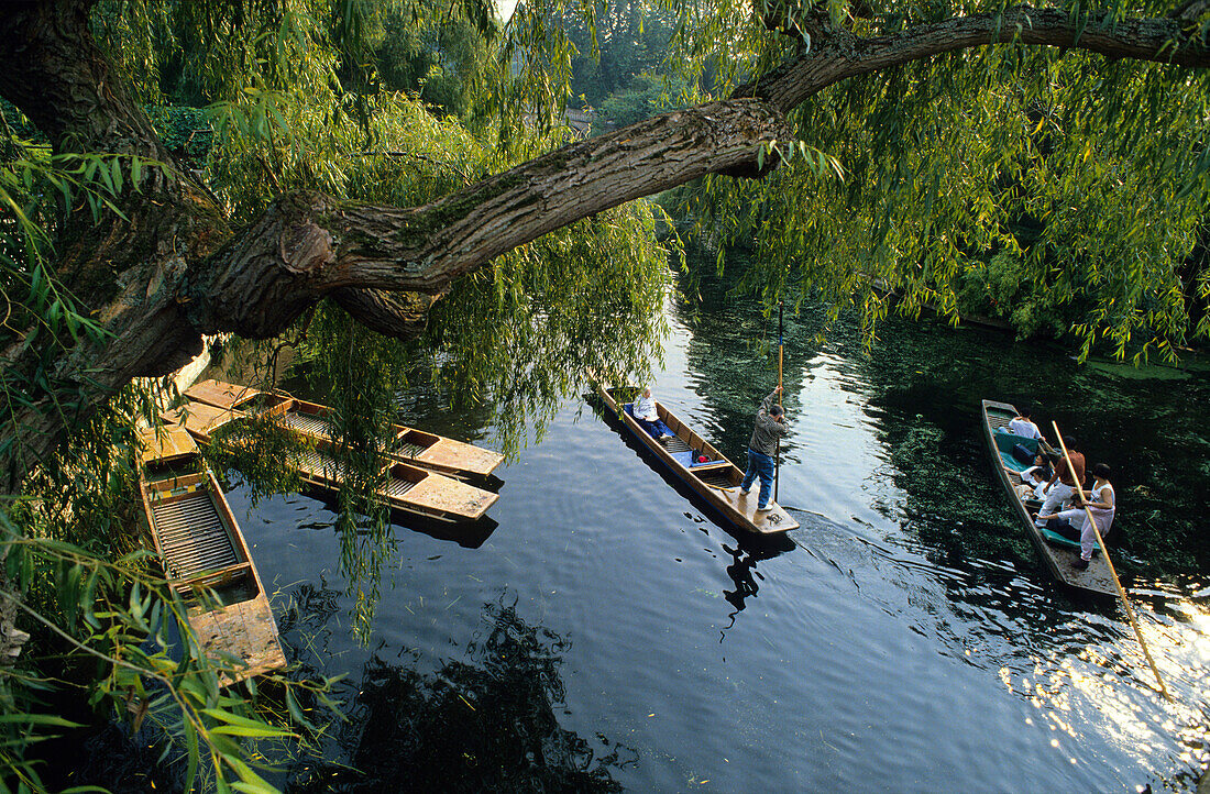 Europa, Grossbritannien, England, Oxfordshire, Oxford, flache Flussboote auf der Themse