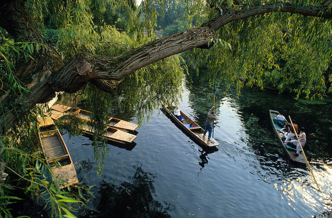 Europe, Great Britain, England, Oxfordshire, Oxford, Punts on the river Thames
