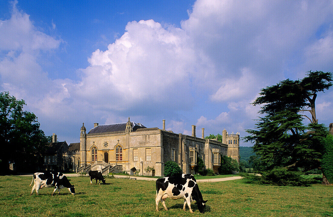 Europe, England, Wiltshire, Lacock, Lacock Abbey