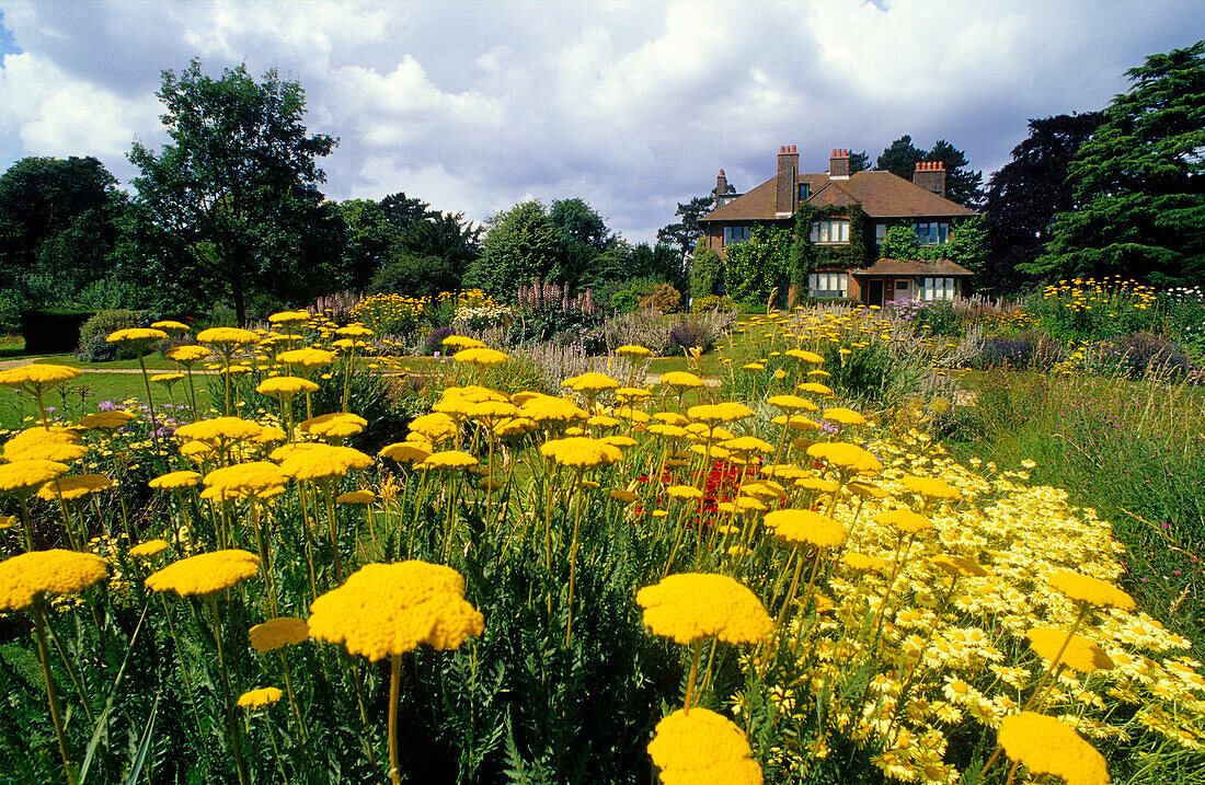 Europe, England, Hertfordshire, Ayton St. Lawrence, Shaw's Corner