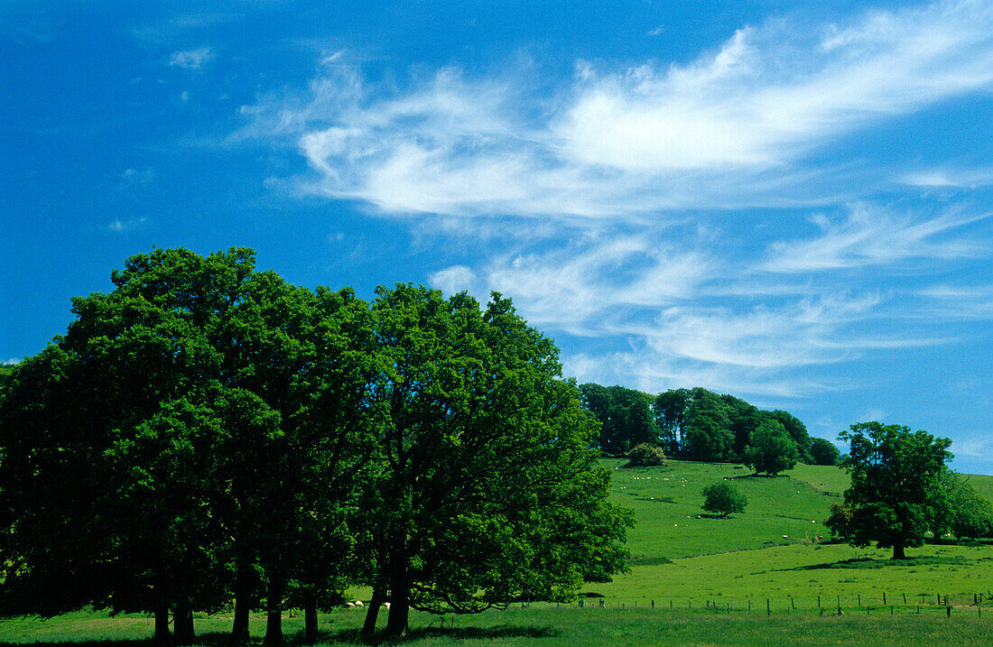 Europe, England, Gloucestershire, Cotswolds, near Stanton