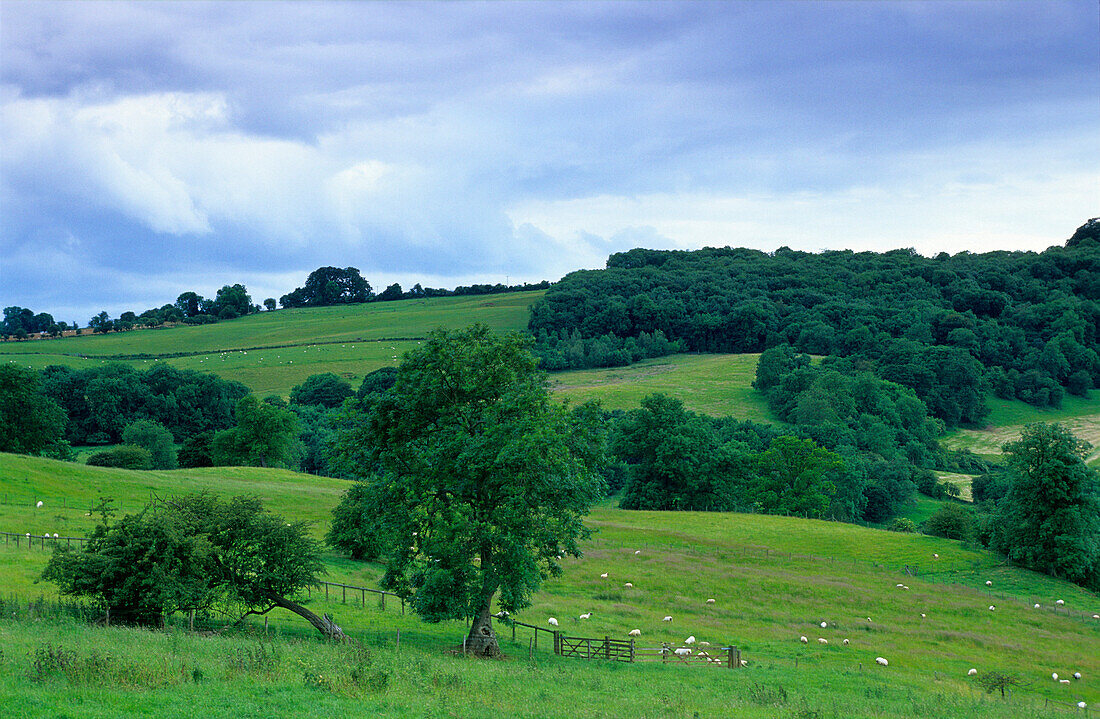 Europe, England, Gloucestershire, Cotswolds, Snowshill