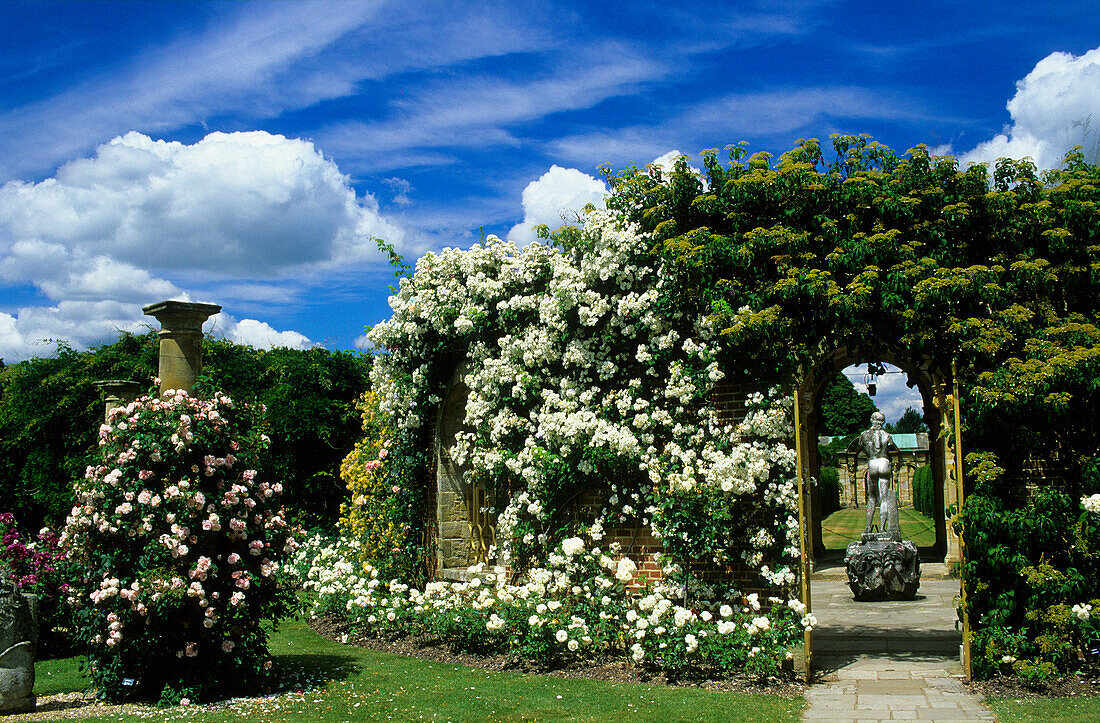 Europe, England, Kent, Hever, Hever Castle, garden