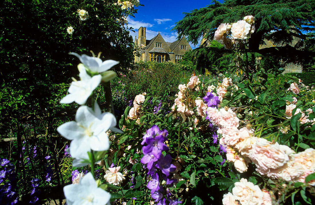 Europa, England, Gloucestershire, Cotswolds, Chipping Campden, Hidcote Manor Garten