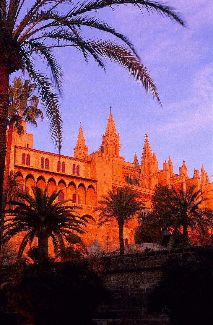 Europe, Spain, Majorca, Palma, Cathedral, La Seu