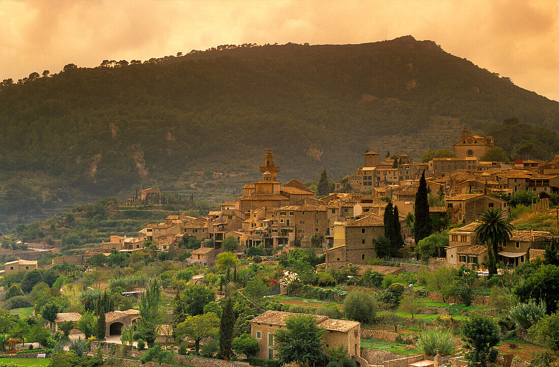 Europe, Spain, Majorca, Valldemossa