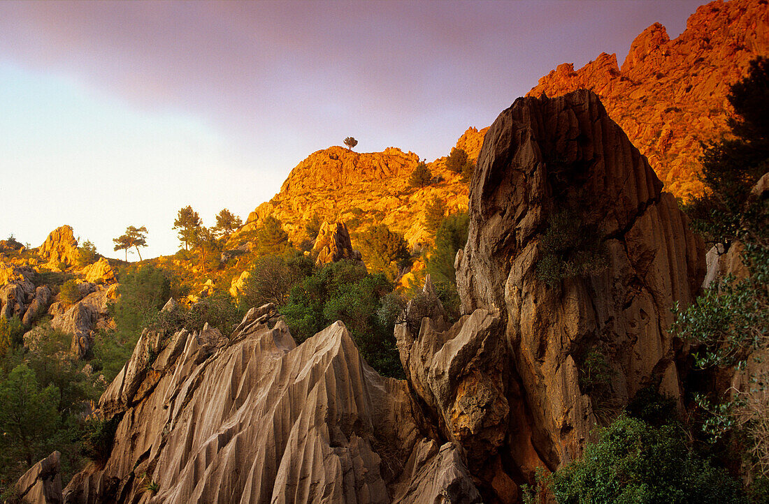 Europa, Spanien, Mallorca, bei Sa Calobra, Gebirgslandschaft