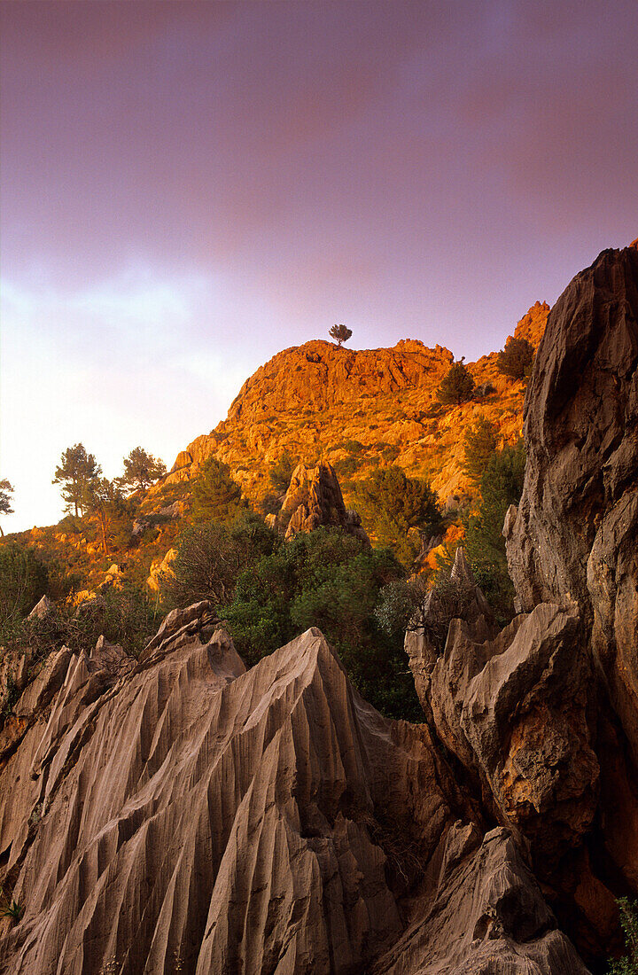 Europe, Spain, Majorca, near Sa Calobra, landscape