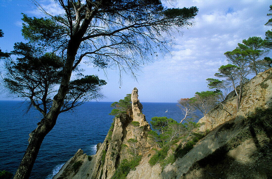 Europe, Spain, Majorca, near Port d'es Cannoge, northern coast