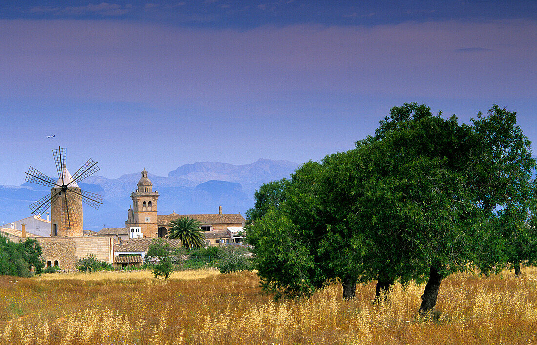 Europa, Spanien, Mallorca, Algaida, Windmühle und Kirche