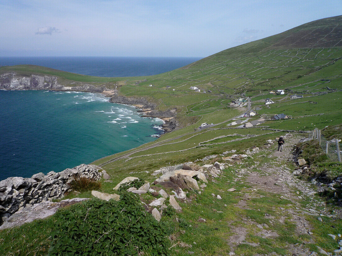 Hiker walking the Dingle Way climbing a hill, near Slea Head, Near Dunquin, Dingle Peninsula, County Kerry, Ireland