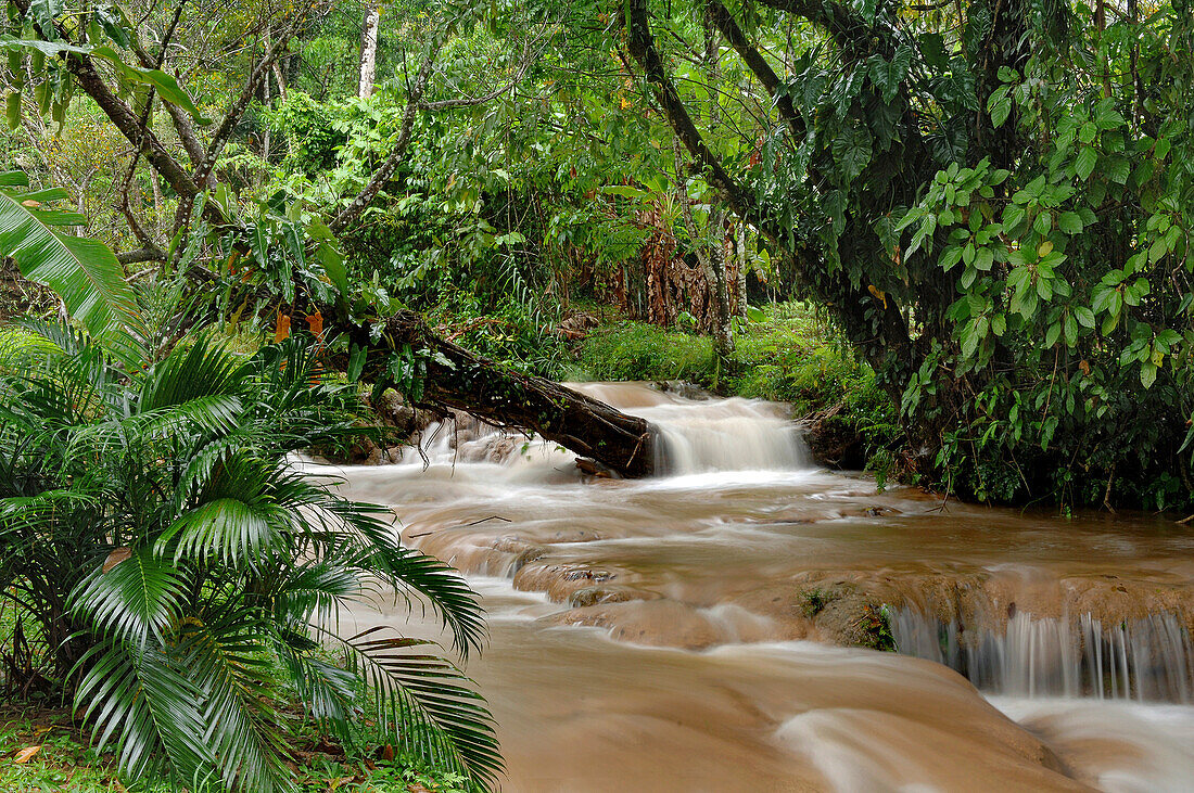 Aqua Azul, im tropischen Tiefland von Chiapas, Mexiko