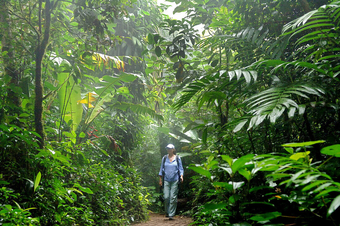 Woman hiking in the Monteverde Cloud Forest Reserve, Costa Rica, Central America