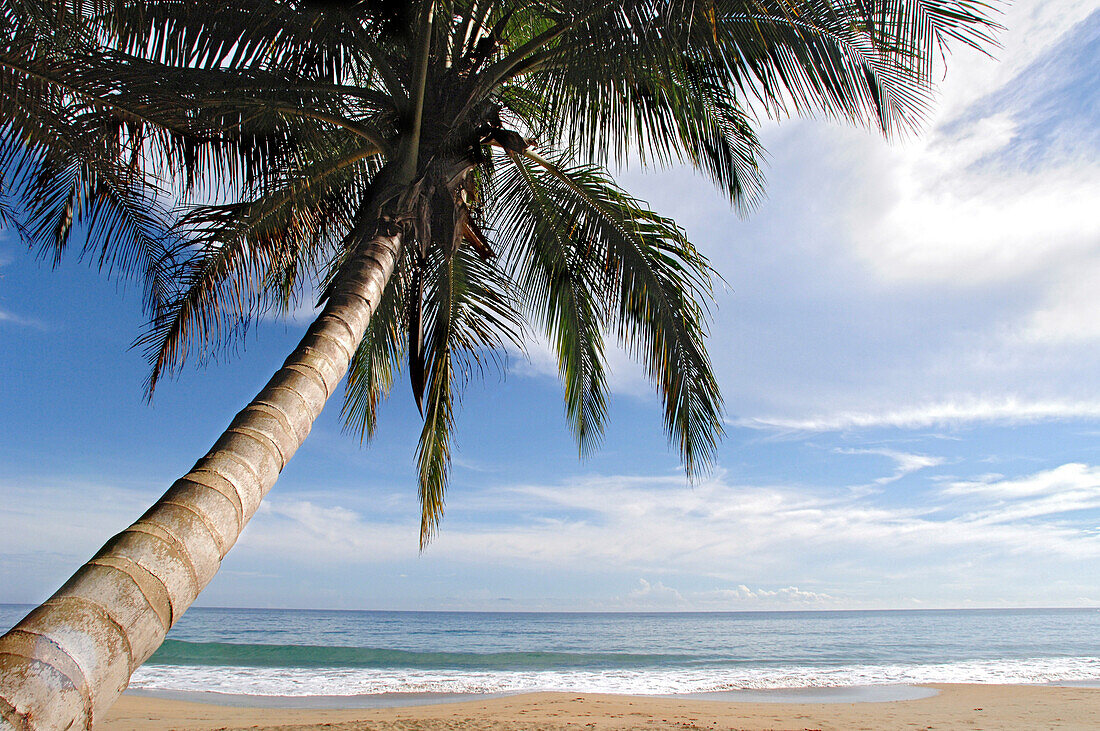 Beach on the caribbean coast near Puerto Viejo, Costa Rica, Central America