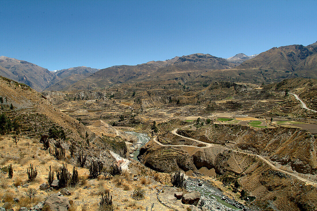 Terrassenfeldbau im Colca Canyon, Chivay, Peru, Südamerika