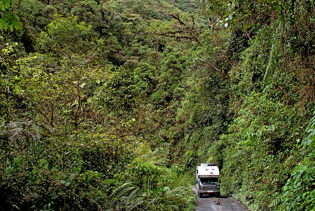 Offroad truck on a track leading through the rainforest of Manu National Park, Amazonia, Peru, South America