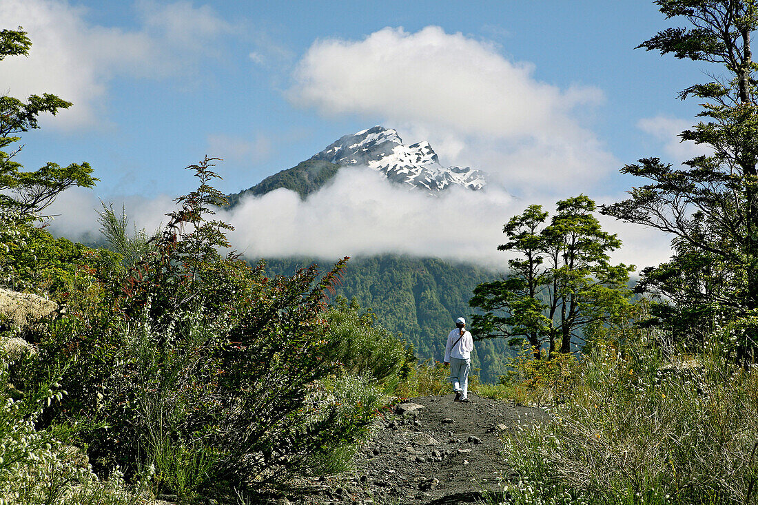 Vulkan Osorno, Nationalpark Vincente Peréz Rosales, Chile, Südamerika