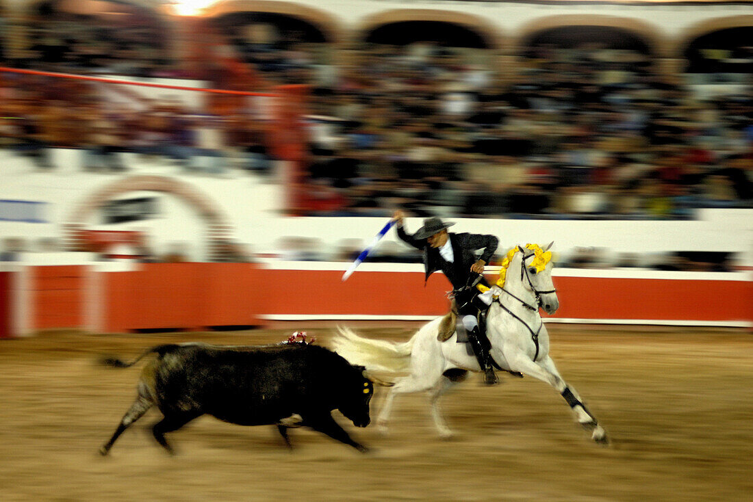 Bullfight with picador in San Miguel de Allende, Mexico