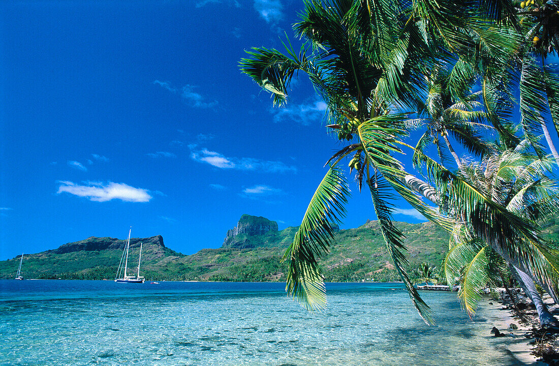 Bora Bora shoreline and lagoon