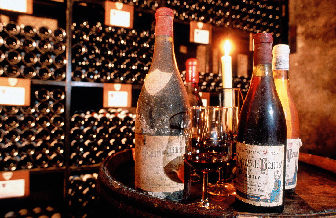 Old bottles in a Cellar. Beaune. Burgundy. France