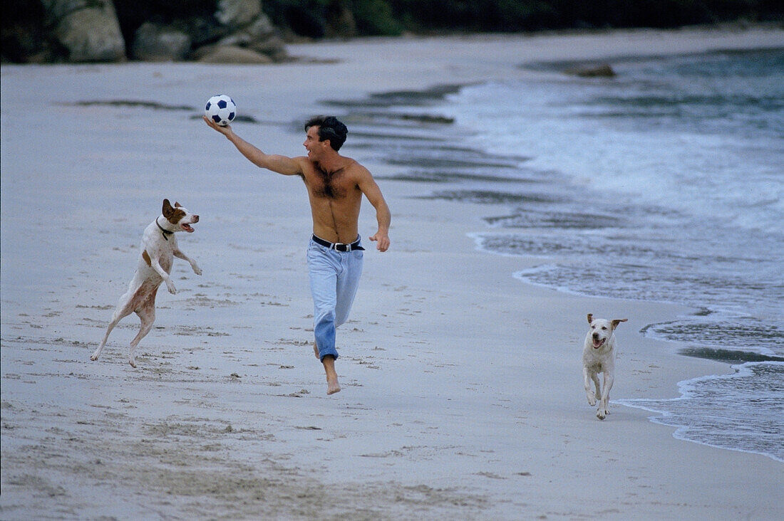 Man playing with dogs