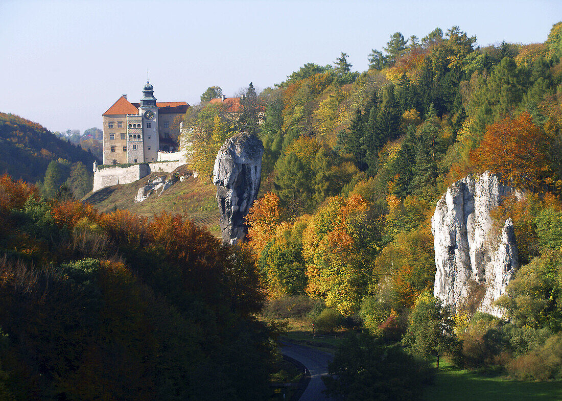 Castle in Ojcow NP Poland