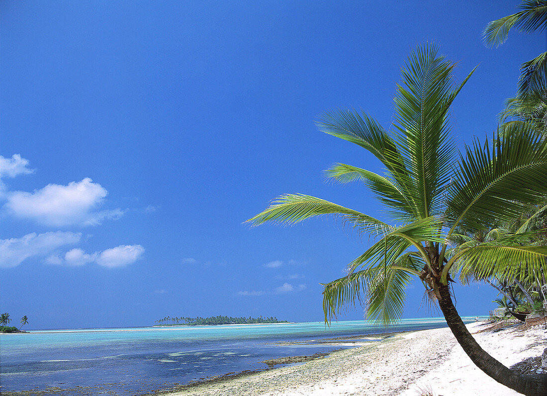 Kalpeni island. Lakshadweep. India