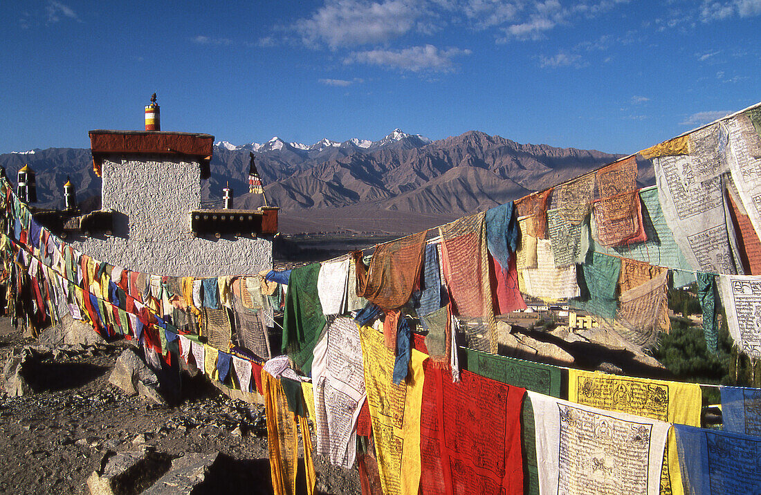 Prayer flags. Leh. Ladakh. India.
