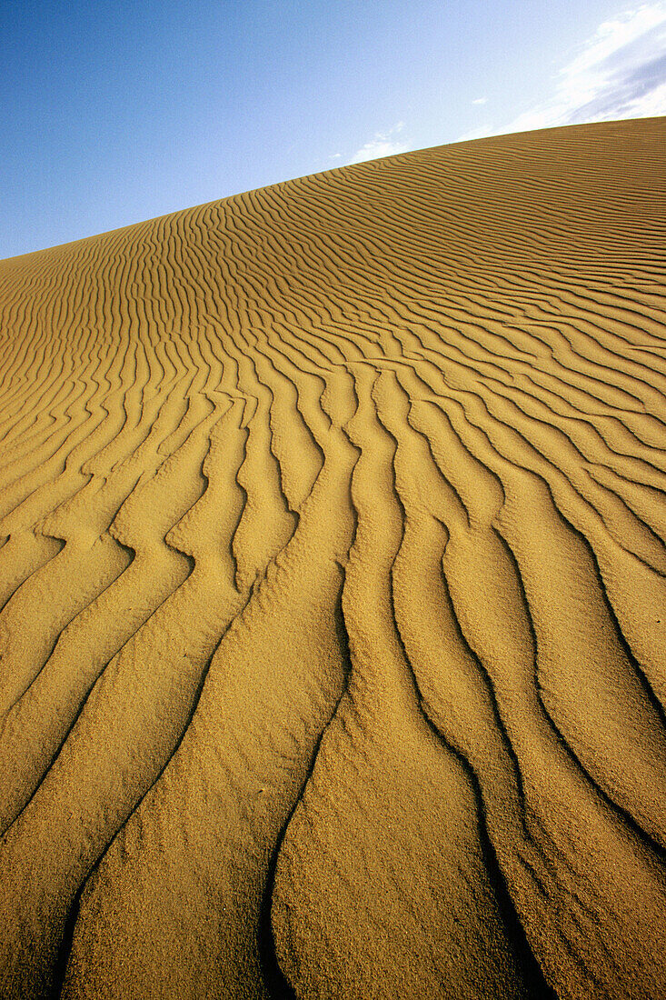 Sand dune. Death Valley. California. USA.