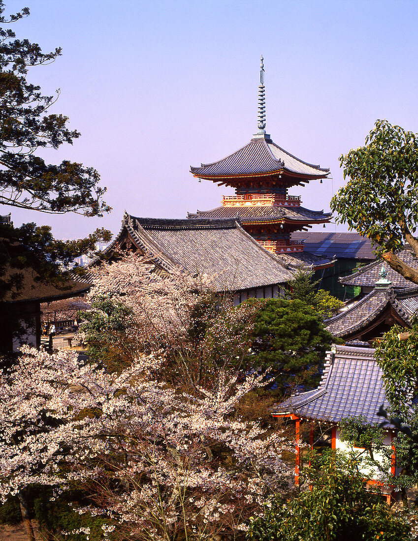 Kiyomizu Dera (temple). Kyoto. Japan