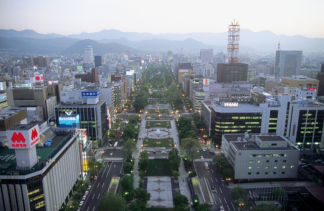 General panoramic view of Sapporo. Hokkaido, Japan