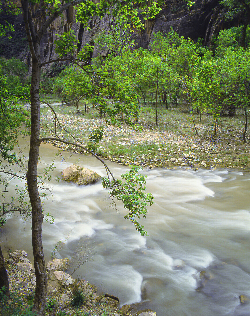 Virgin River, Zion National Park. Utah, USA