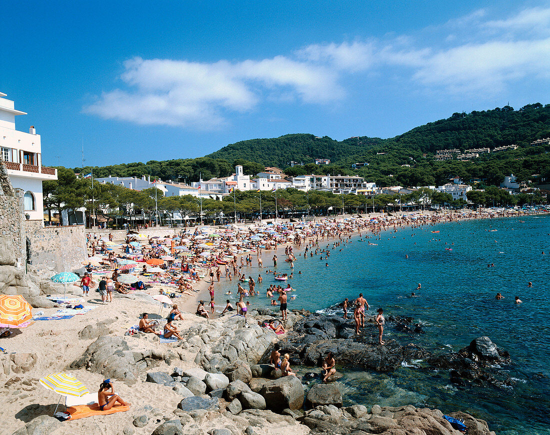 Llafranc. Costa Brava. Girona province. Catalonia. Spain