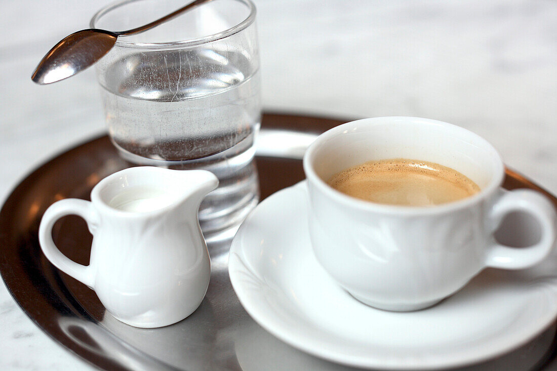 Cup of coffee served in the Cafe Griensteidl, Vienna, Austria