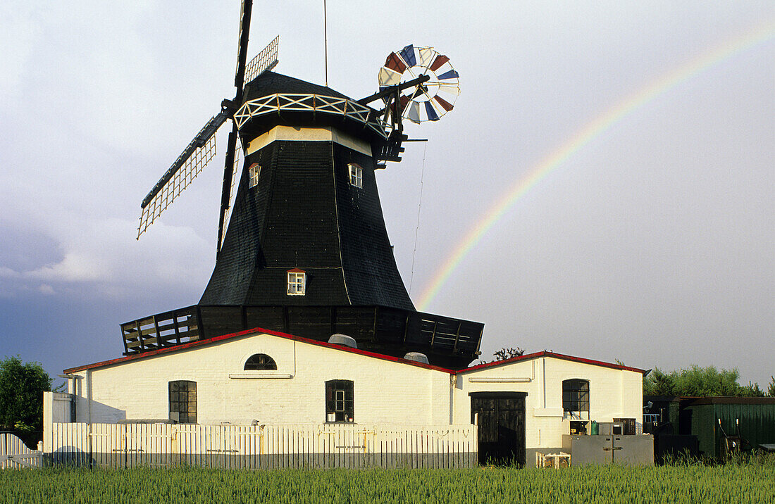 Rainbow behind windmill, Petersdorf, Fehmarn island, Schleswig-Holstein, Germany