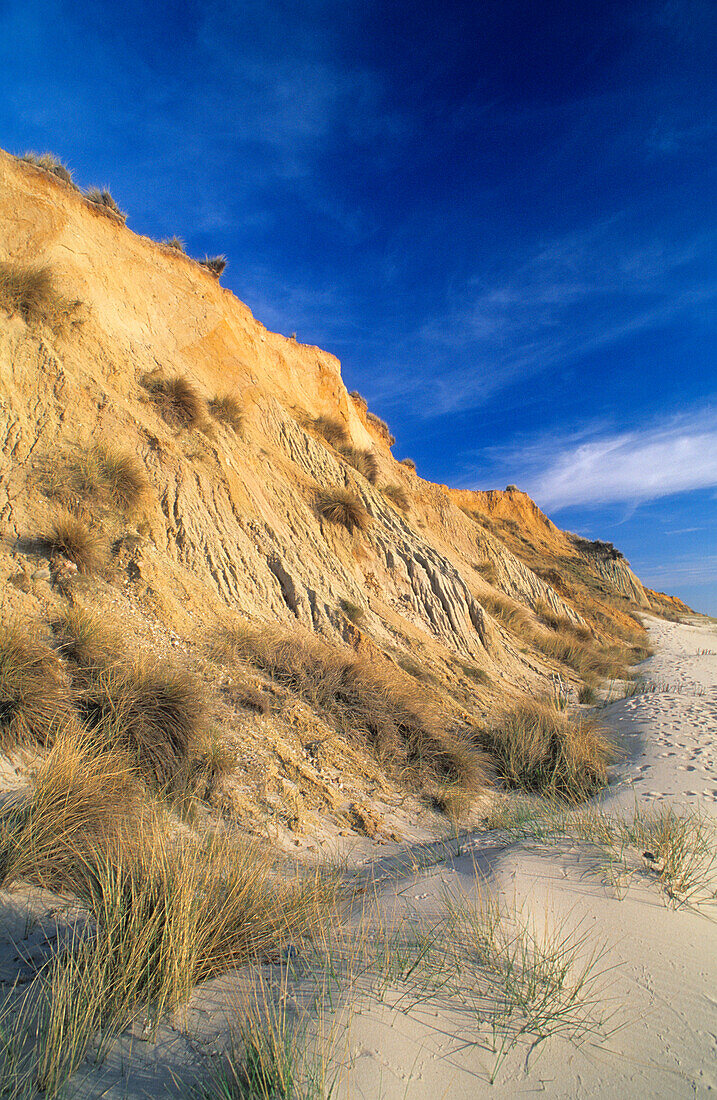 Red cliff in the sunlight, Sylt island, Schleswig Holstein, Germany, Europe