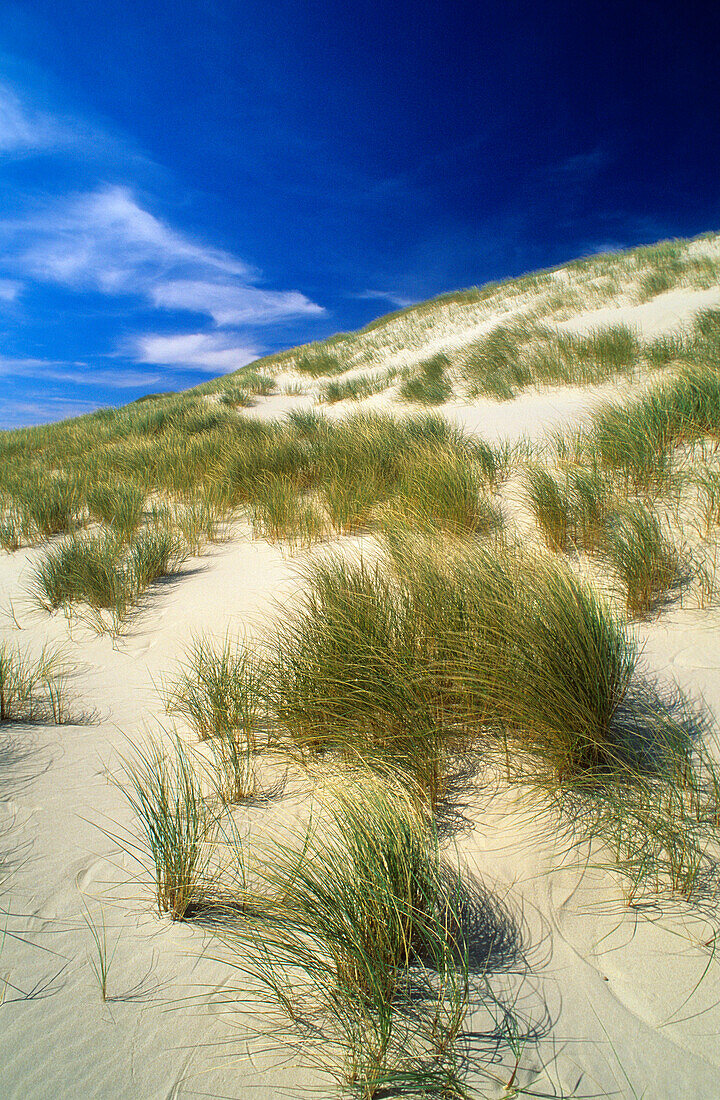 Europa, Deutschland, Schleswig-Holstein, Insel Sylt, Ellenbogen, Ostindienfahrerhuk