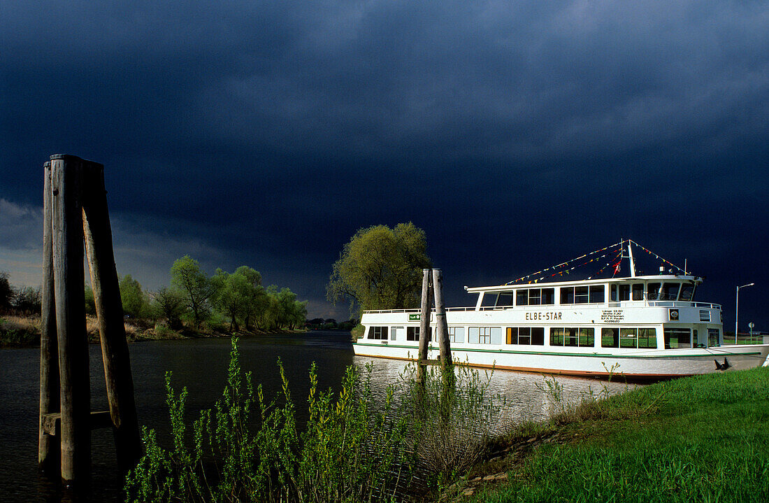 Europe, Germany, Lower Saxony. Elbe riverscape near Hitzacker