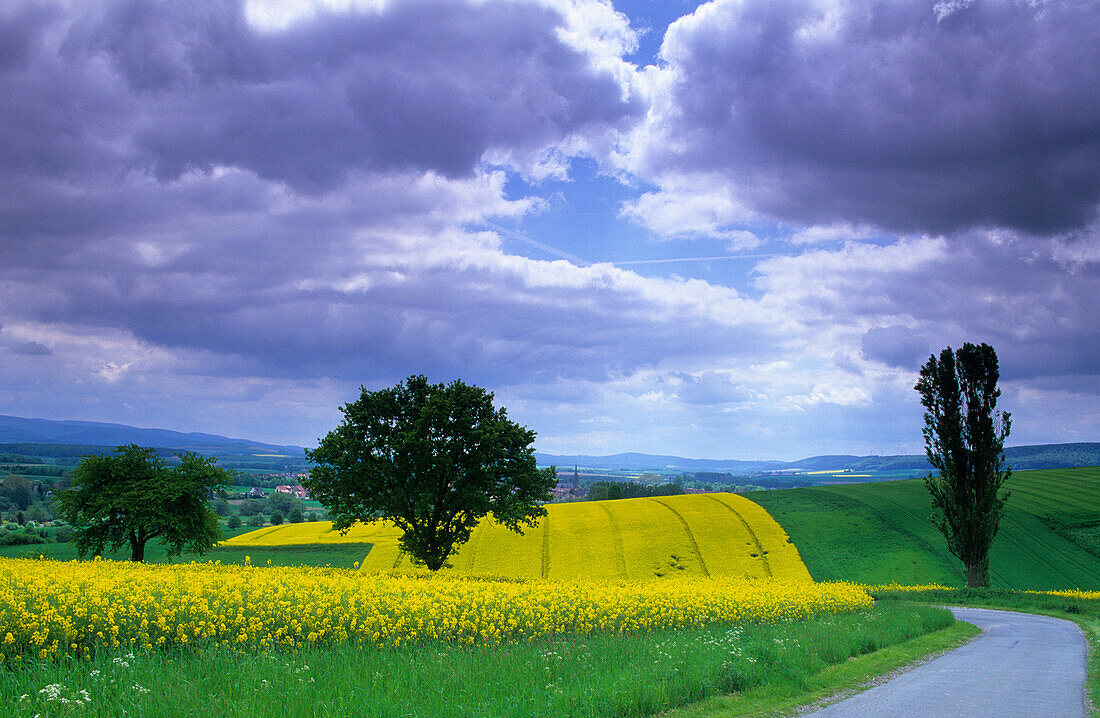 Europe, Germany, Lower Saxony, landscape near Rhüden, Harz